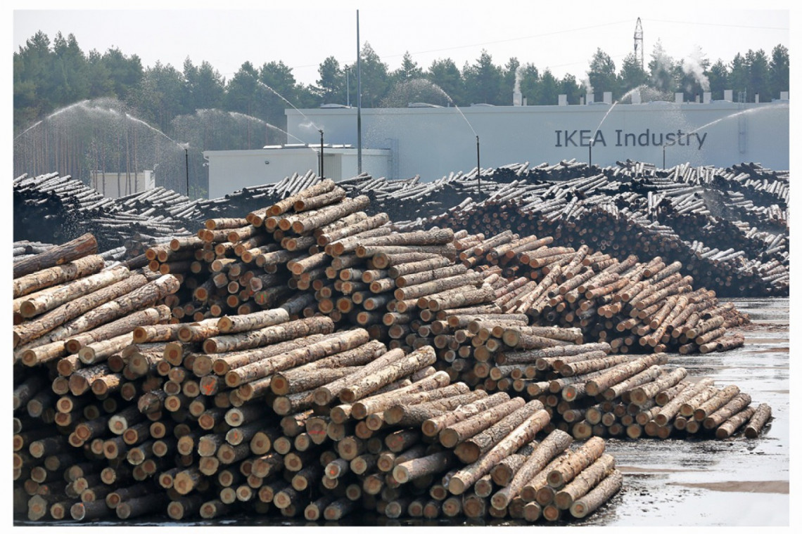 Tartak IKEA Industry w Stalowej Woli. Fot. IKEA Nowa inwestycja IKEA Industry: produkcja zielonej energii