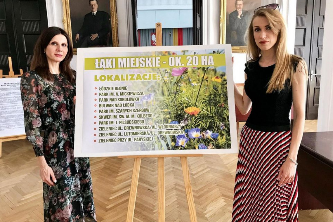 fot. UM Łódź Łąki kwietne, czyli nowy sposób na walkę ze smogiem