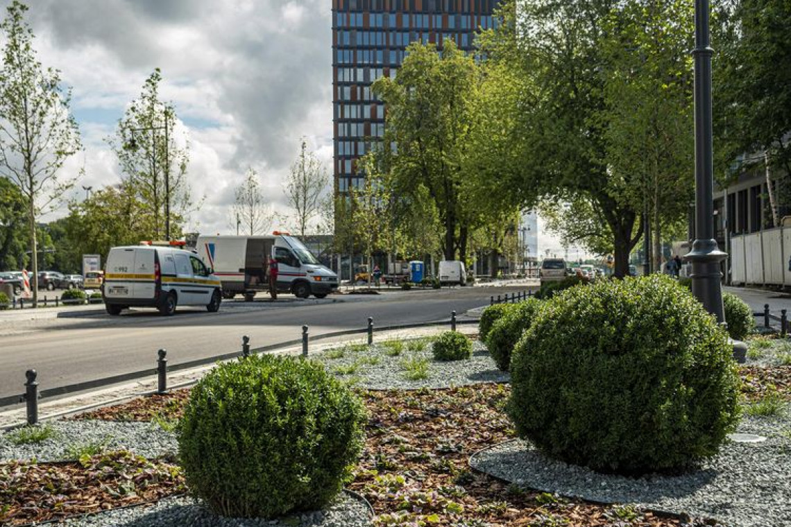 fot. UMŁ Łódź posadzi tysiące drzew