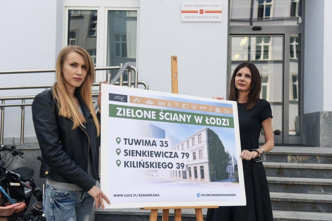 fot. mat. UM Łódź Tuwima 35, Sienkiewicza 79 i Kilińskiego 39 - pod tymi adresami wkrótce wyrosną zielone ściany bluszczu
