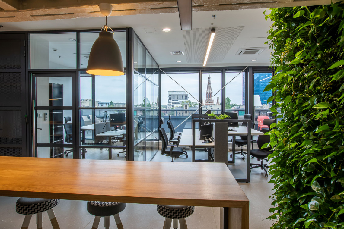 sepia office: zielona sciana w biurze opg fot. mat. prasowe Biofilia - trend, który wydłuży nam życie?