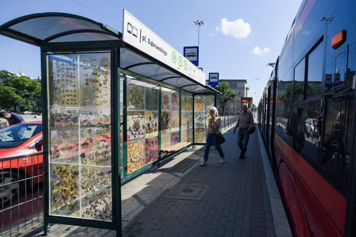 fot. UMŁ Przystanek "Nostalgia". Oto wiata zbudowana z kwiatów zatopionych w bezbarwnej żywicy