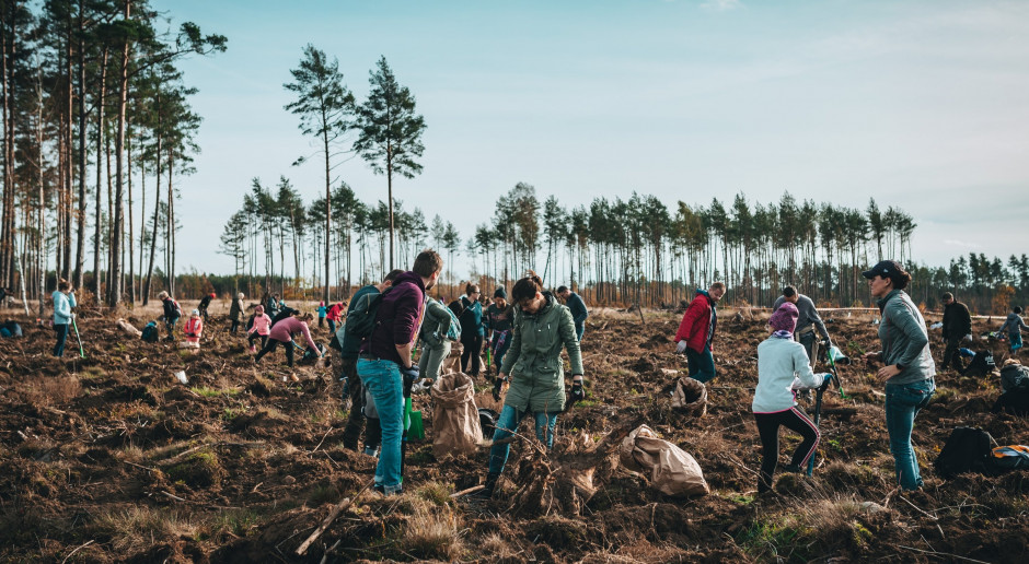 Setki tysięcy drzew dla Nadleśnictwa Lipusz od Torusa i przyjaciół