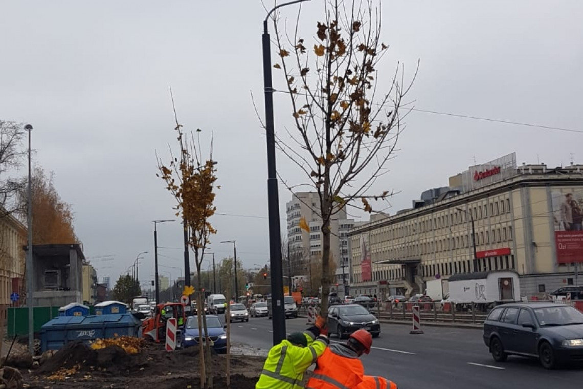 fot. UM Warszawa Metro zazieleni warszawską Wolę