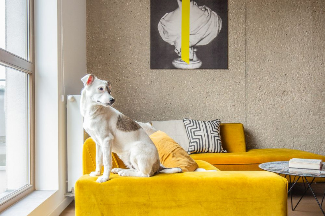 fot. mat. Decoroom TOP: Wnętrzarskie trendy, które rozkochają nas w sobie w 2020 roku