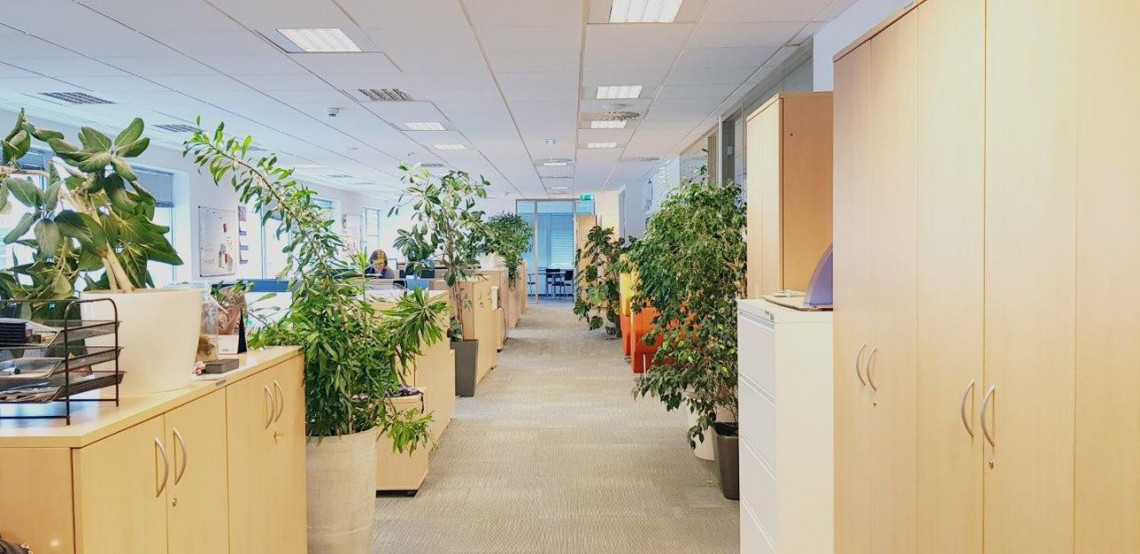 Biura DNB Bank Polska po remoncie. Fot. Materiały prasowe Spaceplan wyremontował biura DNB Bank Polska