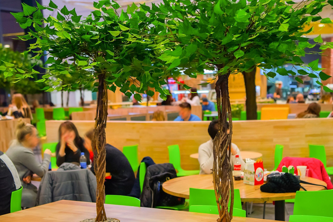 Centrum handlowe Ogrody w Elblągu ma nowy, w pełni zmodernizowany food court. Strefa została powiększona o dodatkowych 200 mkw. Do budowy użyto naturalnych materiałów, a podczas aranżacji postawiono na zieleń i nowoczesny design, fot. mat. inwestora Nowoczesny design i zieleń. Oto odmieniony food court w elbląskich Ogrodach