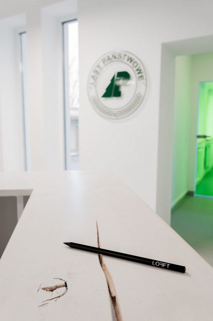 Pracownia LOFFT architektura Małgorzata Hendrych-Lubińska zrealizowała kolejny ciekawy projekt biurowy na początku 2020 roku. Tym razem odmieniła jedną z siedzib Lasów Państwowych w Dretyniu, fot. mat. LOFFT architektura Małgorzata Hendrych-Lubińska Brzozy, mech i dużo bieli. Odmieniona siedziba Lasów Państwowych w Dretyniu