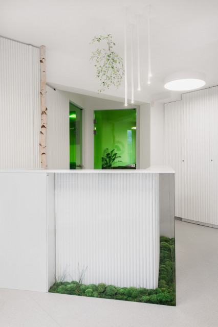 Pracownia LOFFT architektura Małgorzata Hendrych-Lubińska zrealizowała kolejny ciekawy projekt biurowy na początku 2020 roku. Tym razem odmieniła jedną z siedzib Lasów Państwowych w Dretyniu, fot. mat. LOFFT architektura Małgorzata Hendrych-Lubińska Brzozy, mech i dużo bieli. Odmieniona siedziba Lasów Państwowych w Dretyniu