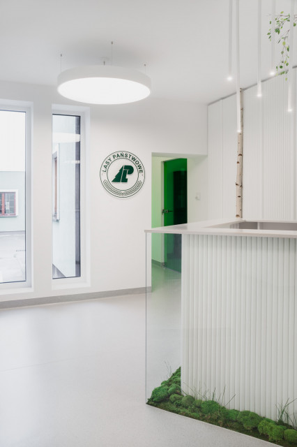 Pracownia LOFFT architektura Małgorzata Hendrych-Lubińska zrealizowała kolejny ciekawy projekt biurowy na początku 2020 roku. Tym razem odmieniła jedną z siedzib Lasów Państwowych w Dretyniu, fot. mat. LOFFT architektura Małgorzata Hendrych-Lubińska Brzozy, mech i dużo bieli. Odmieniona siedziba Lasów Państwowych w Dretyniu