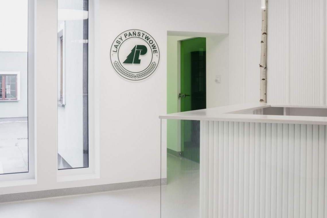 Od prac projektowych, aż po realizację – pracownia LOFFT Architektura zajęła się metamorfozą wnętrza administracyjno-biurowego Lasów Państwowych w Dretyniu, fot. mat. prasowe Biuro całe w bieli. Wymagało nietuzinkowego oświetlenia