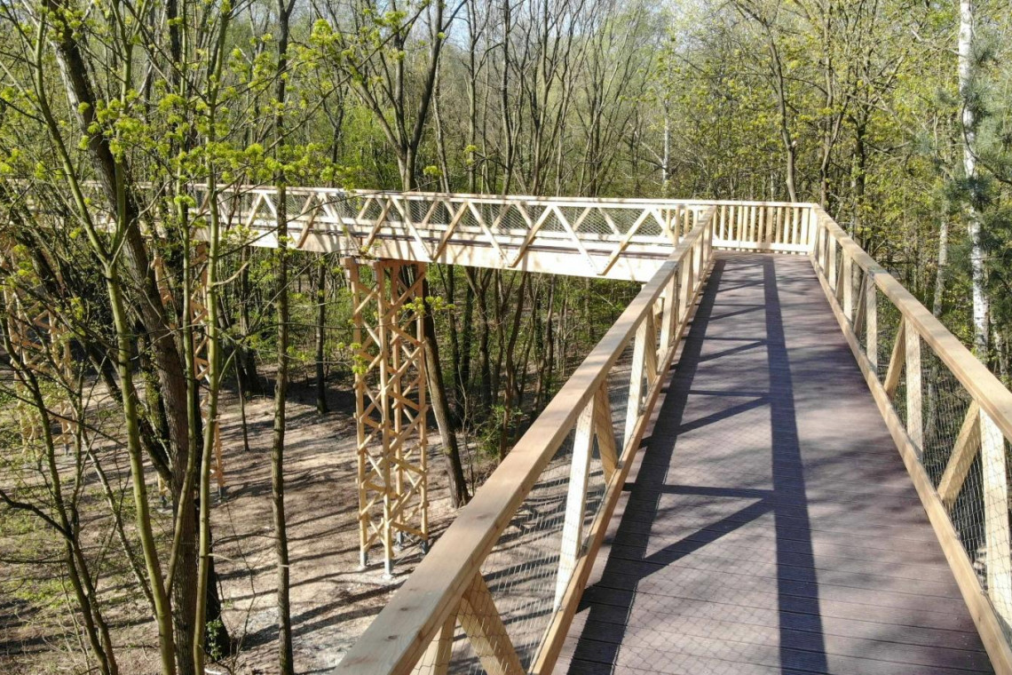 Ścieżka w koronach drzew znajduje się w dolinie rzeki Szklarki, na terenie leśnictwa Antoninek. Fot. Poznańskie Inwestycje Miejskie Poznań ma swoją ścieżkę w koronach drzew