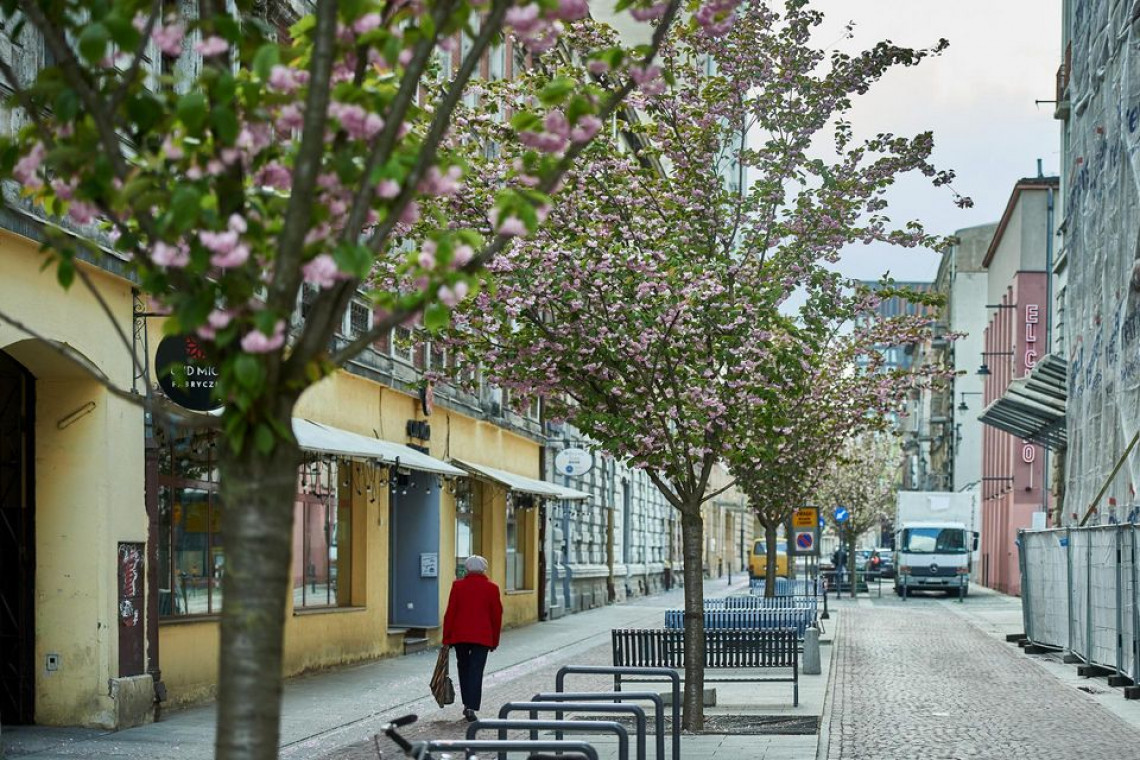 fot. UM Łódź Łódź cała w zieleni