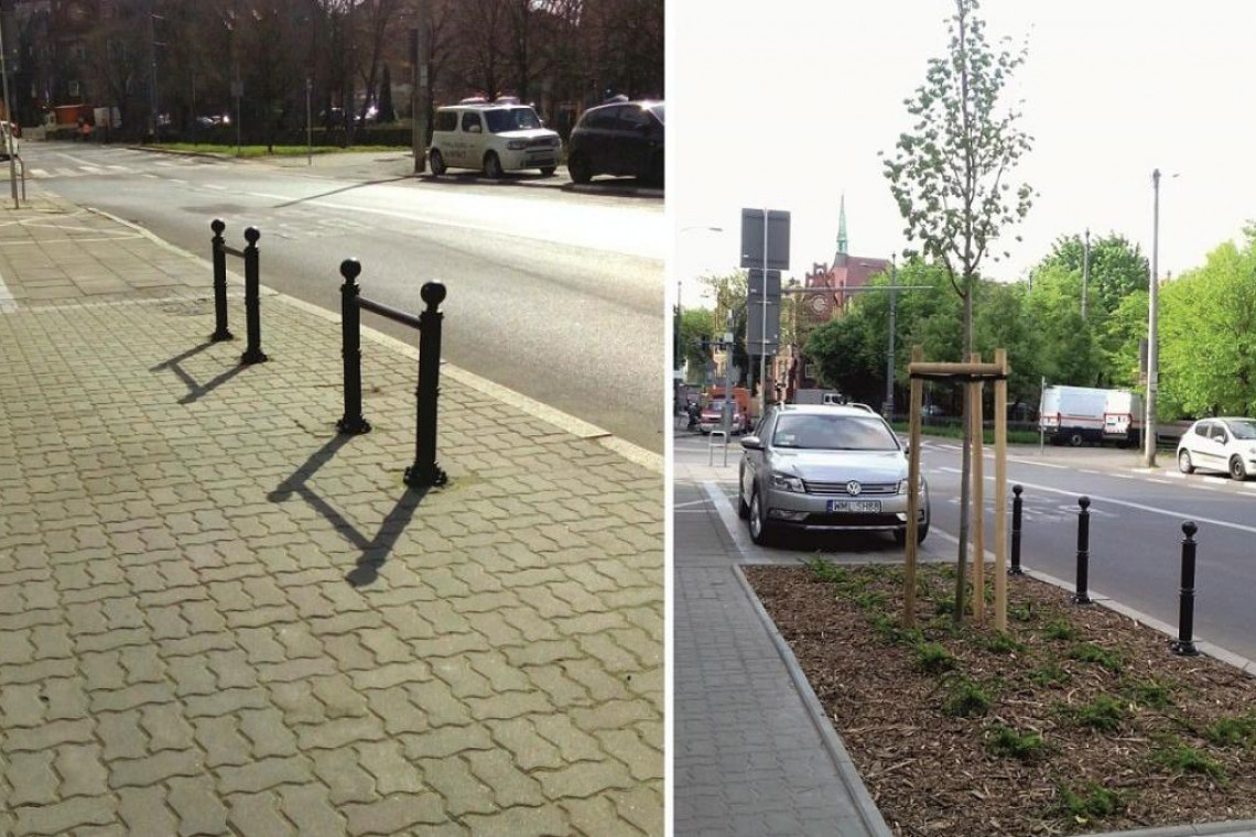 Prawie 400 sztuk krzewów i 8 drzew rośnie już na ulicy Mostowej. Fot. Zarząd Dróg Miejskich w Poznaniu Stare Miasto w Poznaniu się zazieleni