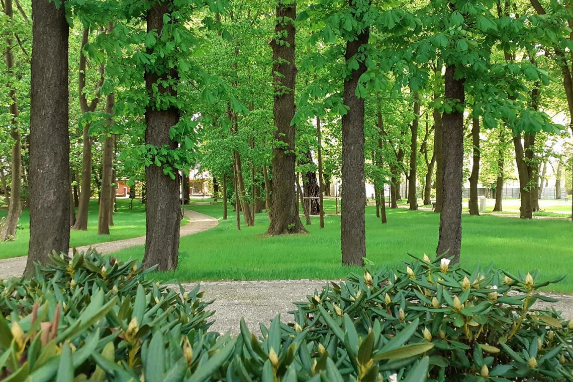 fot. UM Poznań Zaniedbany teren w Poznaniu zmienił się w malowniczy park