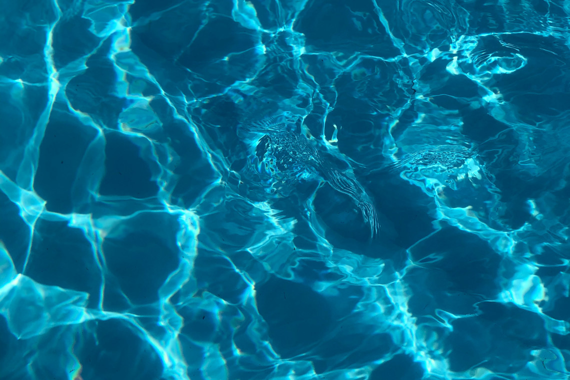 Fot. Unsplash W Szczecinie powstaje nowy basen. Na budowie praca wre
