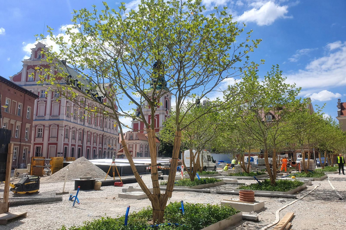 Plac Kolegiacki w Poznaniu, czyli miejsce z historią, fot. UM Poznań Nie ma drugiego takiego miejsca w Poznaniu. Trwa przebudowa placu Kolegiackiego