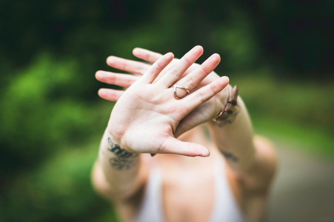 Fot. Unsplash Mieszkańcy Gliwic przeciwni planom zagospodarowania Wilczych Dołów