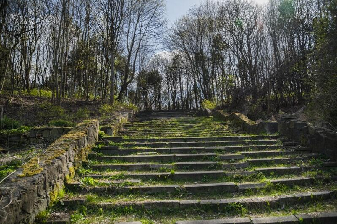 Schody przy ulicy Wroniej. Fot. Dominik Paszliński / www.gdansk.pl W Gdańsku powstanie park leśny