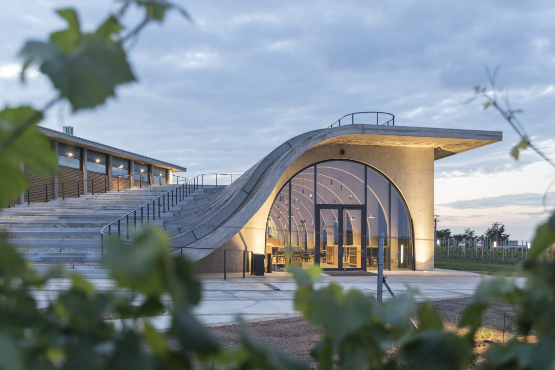 Winiarnia Lahofer na Morawach. Proj. Chybik+Kristof Architects & Urban Designers. Fot. Laurian Ghinitoiu Winiarnia z amfiteatrem na dachu. Niezwykły projekt Chybik+Kristof