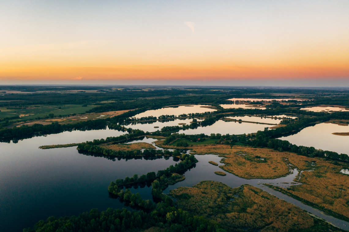 Fot. Unsplash Park Narodowy „Ujście Warty” ma nową platformę widokową