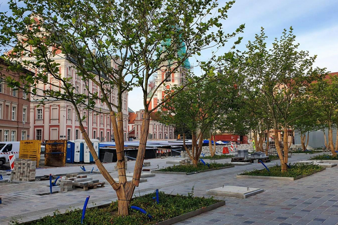 Plac będzie gotowy w ciągu kilku miesięcy, fot. UM Poznań Jeszcze w tym roku wyjątkową przestrzeń zyskają poznaniacy
