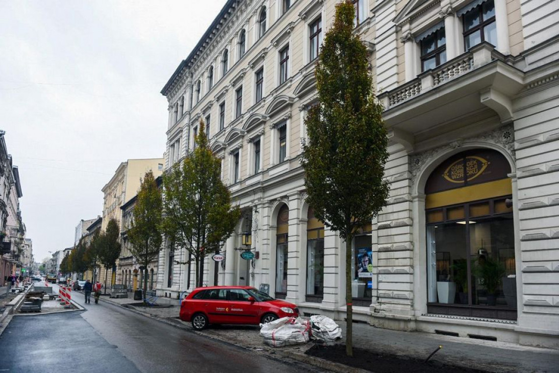 Do końca roku ulice Próchnika i Rewolucji będą jak nowe i pierwszy raz w historii zielone , fot. Paweł Łacheta / UMŁ Te łódzkie ulice pierwszy raz w historii się zazielenią