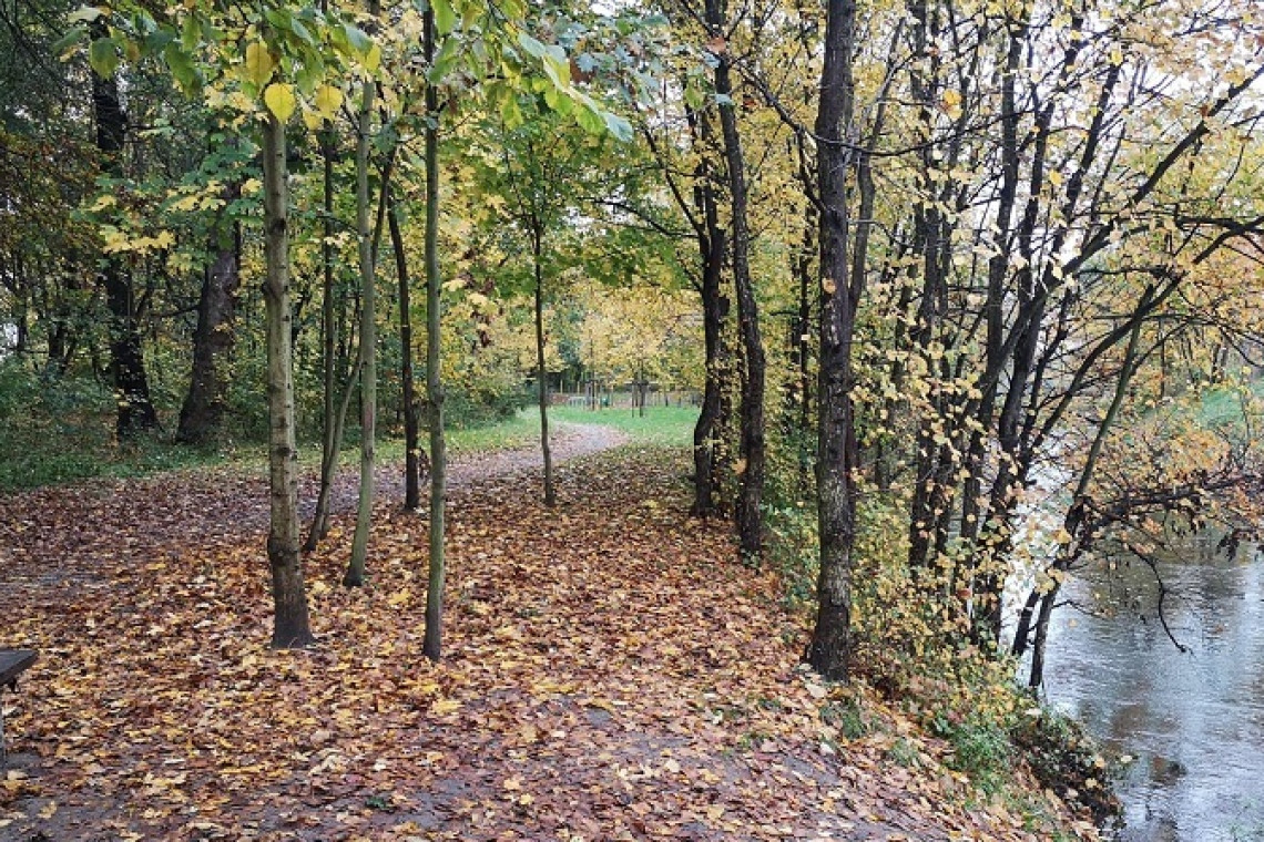 Park Widawski, fot. ZZM Wrocław, www.wroclaw.pl Kolejna rewitalizacja we wrocławskim Parku Widawskim