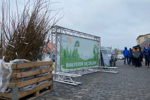 Białystok jeszcze bardziej zielony. Miasto rozdało 1000 różnych drzewek