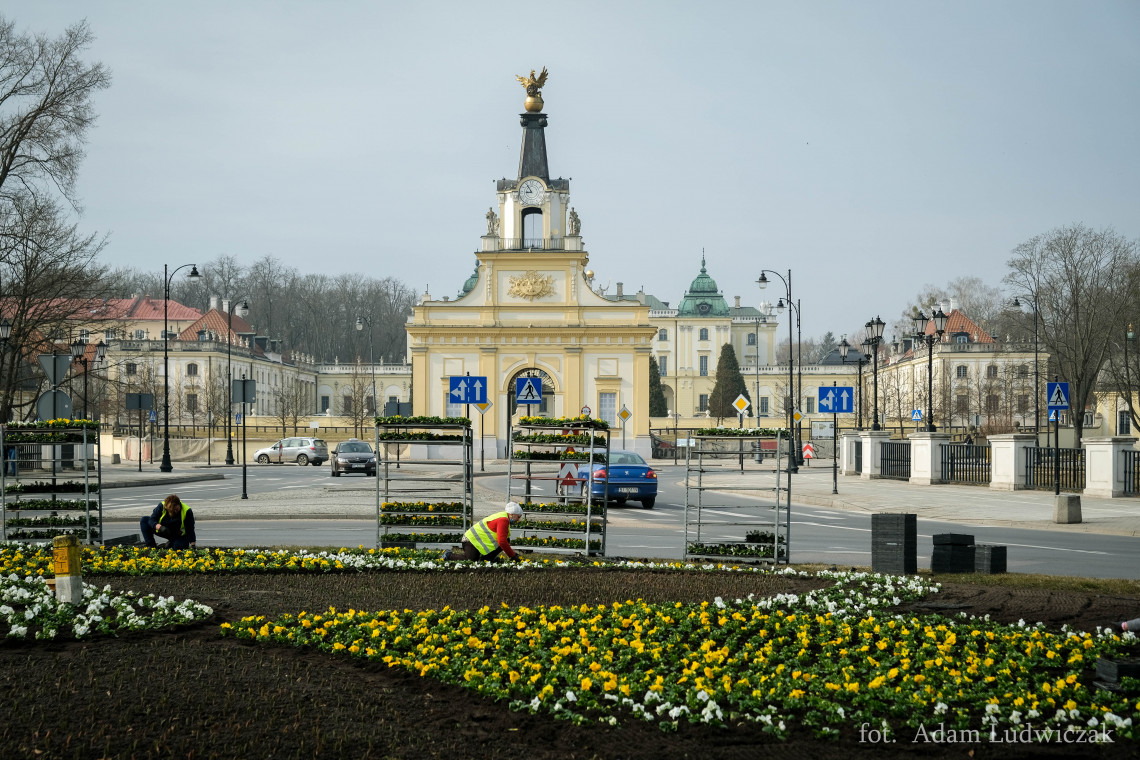 Zielony Białystok. W mieście trwa wiosenne sadzenie kwiatów