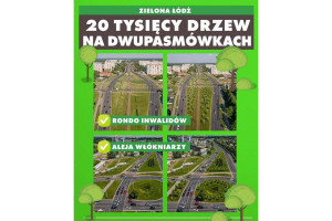 Zielona Łódź. Nowe drzewa pojawią się na głównych dwupasmówkach