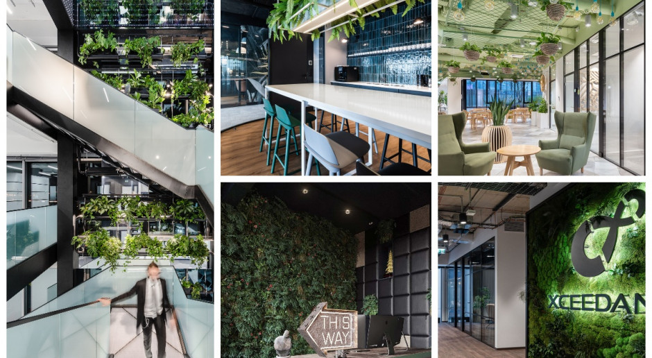 Zieleń w biurze: 10 projektów w duchu biophilic design