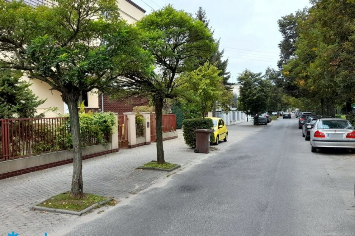 Kolejne drzewa pojawią się na poznańskim Grunwaldzie, fot. www.poznan.pl Poznań sadzi kolejne drzewa