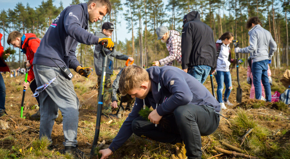 Euro Styl i Torus we wspólnej akcji sadzenia drzew