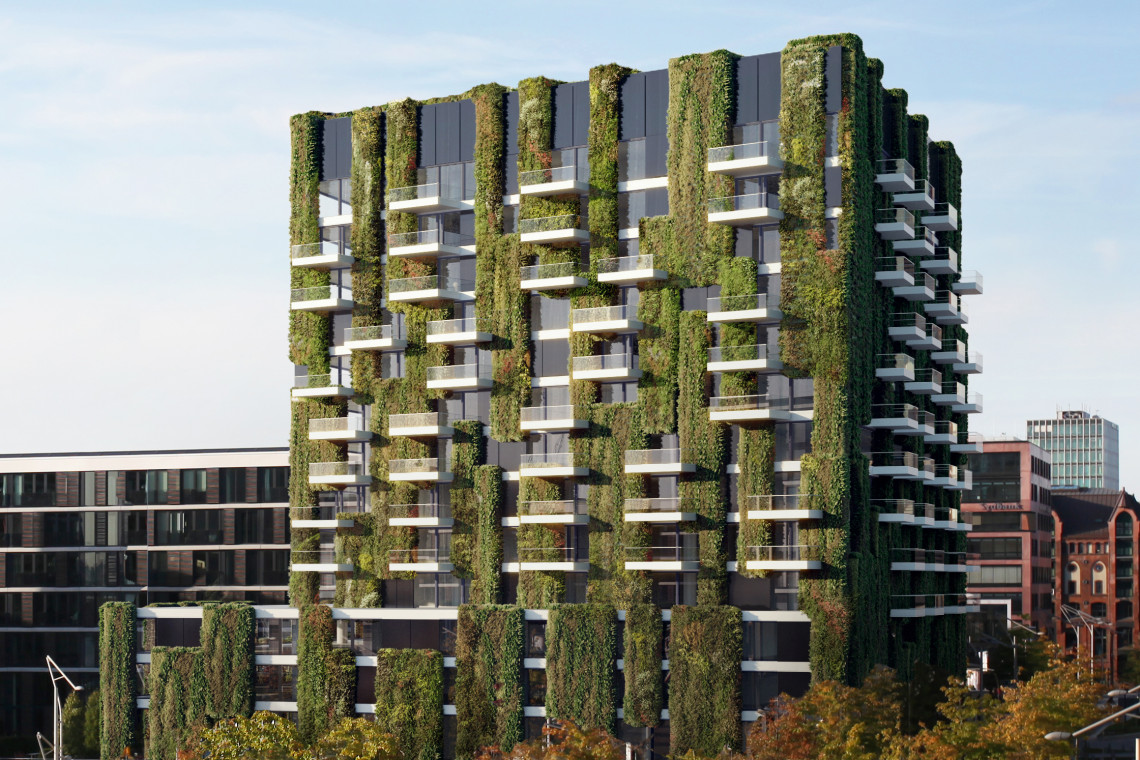 Sposób na zieleń w mieście: wertykalne ogrody na fasadach budynków