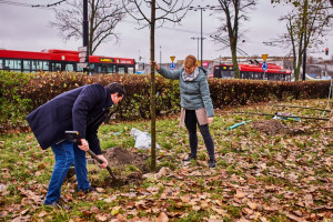 Nowy najemca, nowe drzewo - centrum handlowe włącza się w akcję sadzenia zieleni
