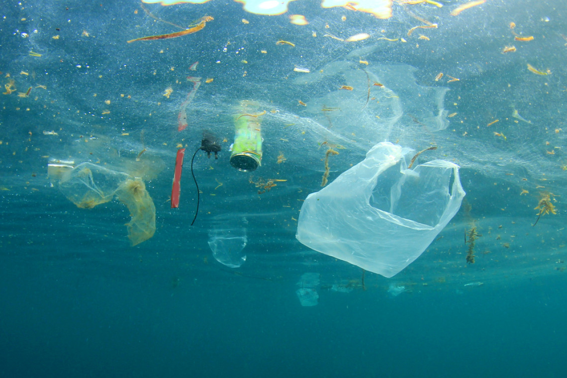 Tony plastiku zalewają oceany. Powstał nowy ekosystem "plastisfera"