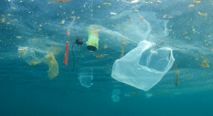 Tony plastiku zalewają oceany. Powstał nowy ekosystem "plastisfera"