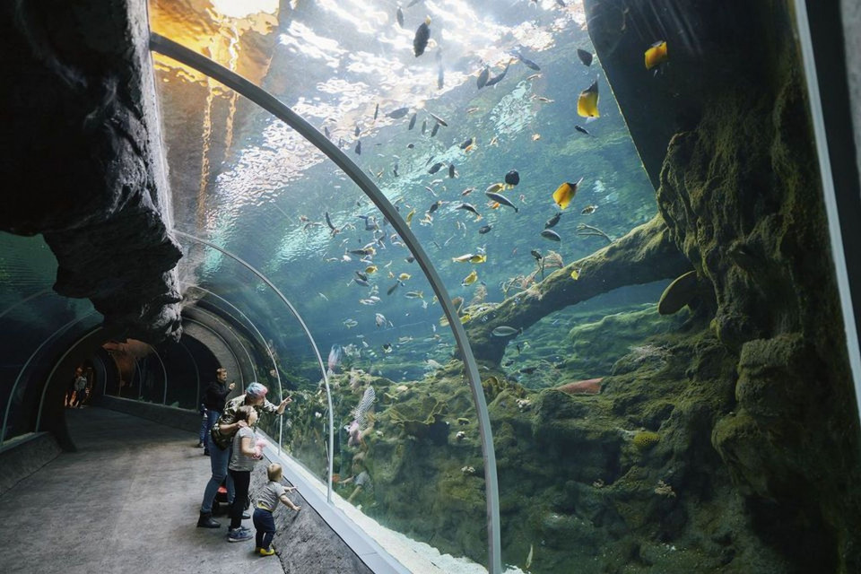 Największe parki rozrywki i aquaparki w Polsce. Jedne niedawno otwarto, na inne trzeba poczekać