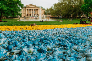 Dywan z płatków kwiatów i hasłem "Podaj rękę Ukrainie" w Poznaniu