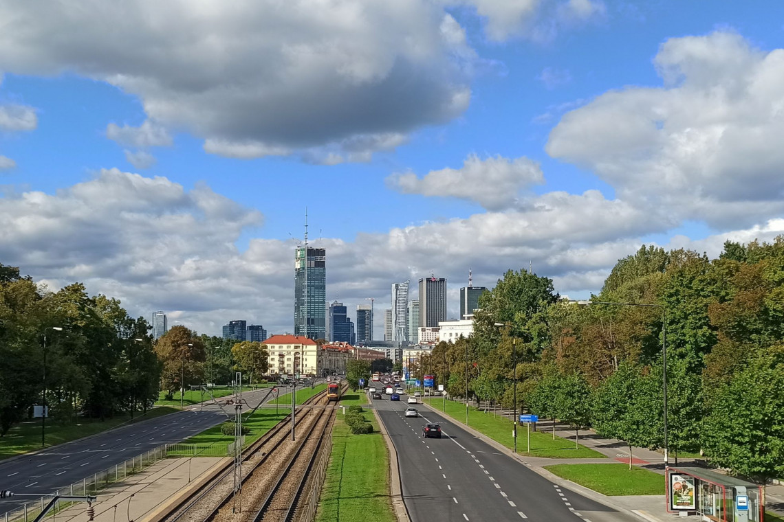 Centrum Warszawy zazieleni się. Rozchodniki pojawią się na torach tramwajowych