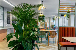 Razoo Architekci zaprojektowali wnętrza bistro na terenie szpitala w Warszawie. Panuje klimat uzdrowiska