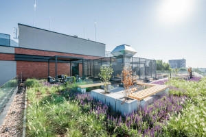 Okiem architekta: jak są projektowane biura przyszłości?