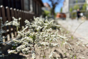 Sopot z ulicą do mieszkania. Niebawem uroczyste otwarcie woonerfu