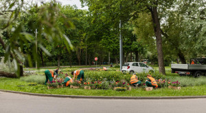 W Gdańsku trwa sezonowa wymiana roślin. Kwiaty pojawiają się na skwerach, rabatach i herbach
