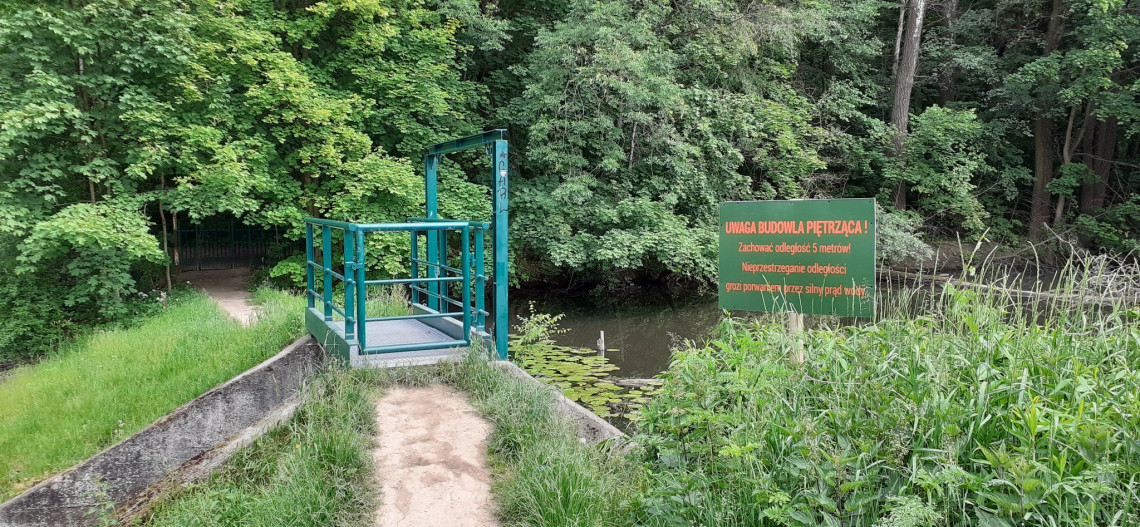 Zastawka w rezerwacie przyrody Morysin w Wilanowie wyremontowana w ramach projektu „Szuwar Warszawski”, fot. ZZW