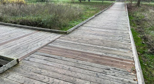 Kładki z recyklingu zastąpią drewniane pomosty w gdańskim parku