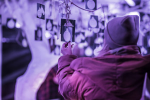 Zoo w Chorzowie rozświetliły świąteczne iluminacje. Tak się prezentuje!