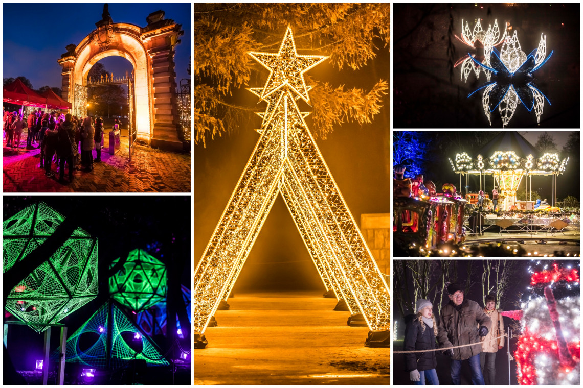 Zoo w Chorzowie rozświetliły świąteczne iluminacje. Tak się prezentuje!