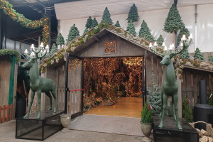 Raj dla miłośników świąt i influencerów. Odwiedziliśmy Flora Point - najpiękniejszy świąteczny sklep w Warszawie